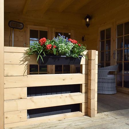 Pinewood Cabin Saline Екстериор снимка