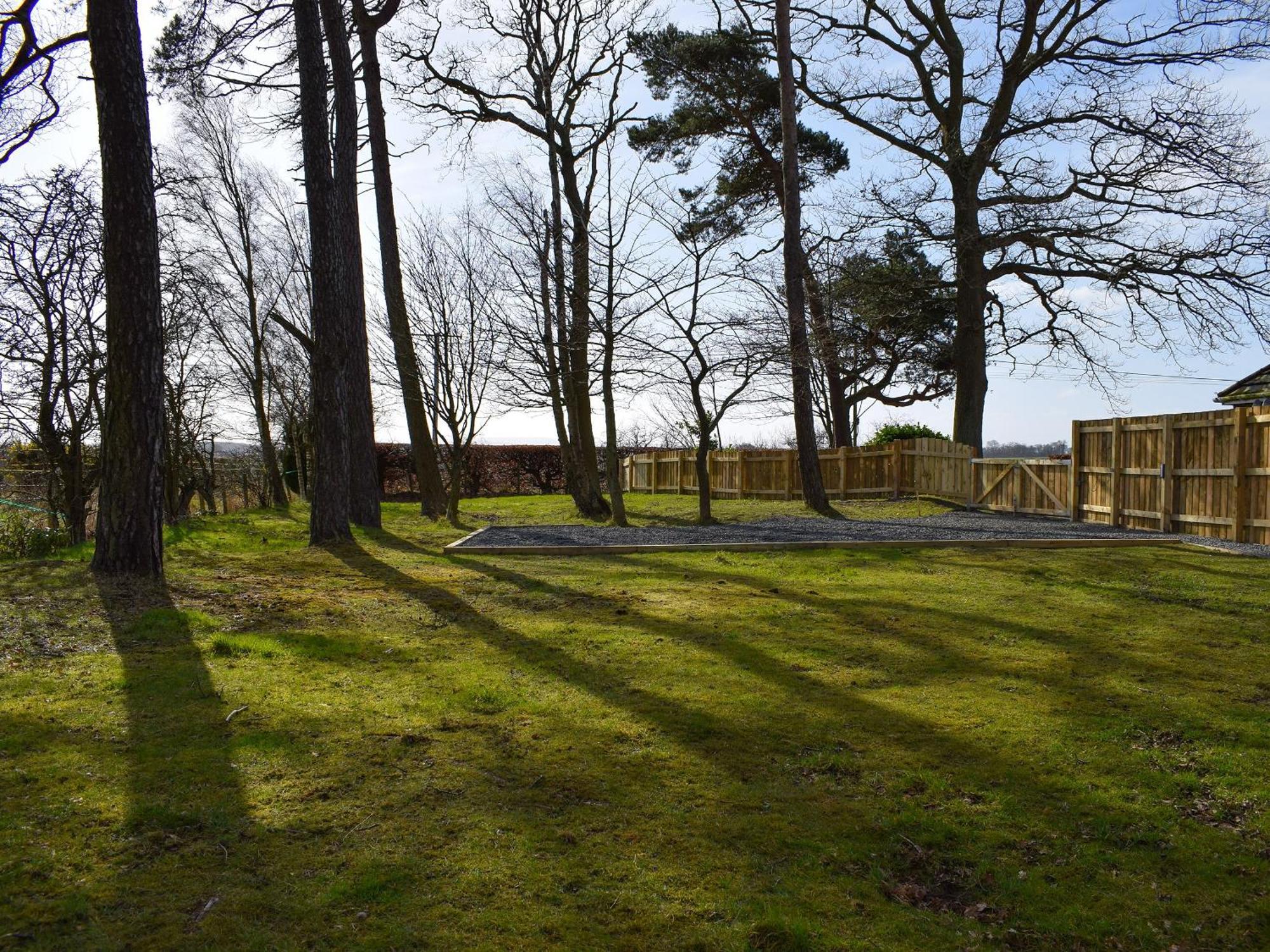 Pinewood Cabin Saline Екстериор снимка